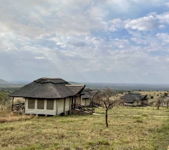 zebraer-paa-serengeti