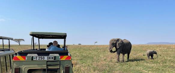 loever-paa-serengeti