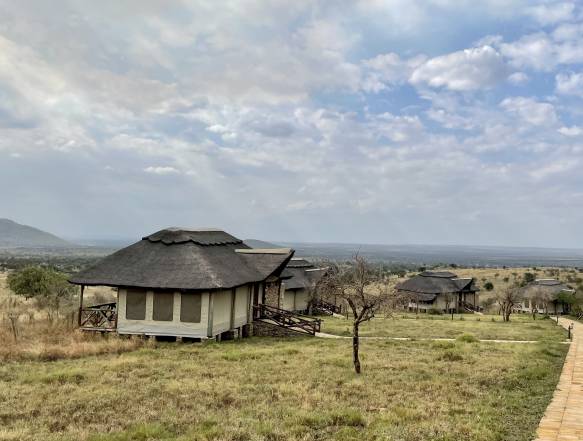 zebraer-paa-serengeti