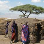 Tanzania safari og Zanzibar