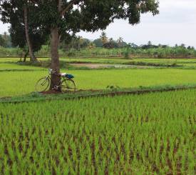 Tanzania visum Tanzania FAQ