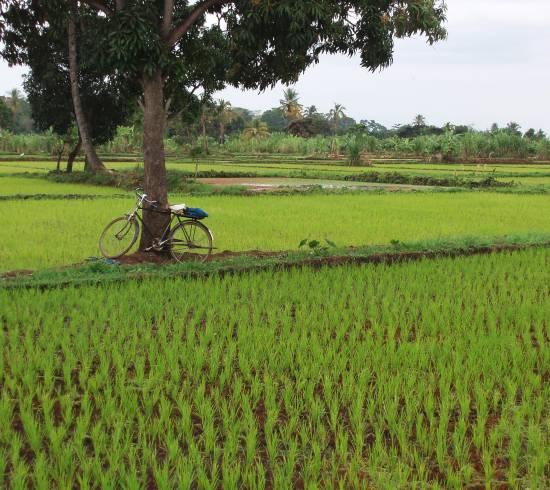 Tanzania visum Tanzania FAQ