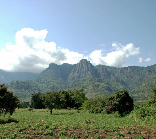 Irentes View Usambara