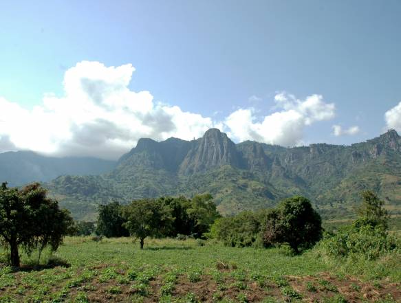 Irentes View Usambara