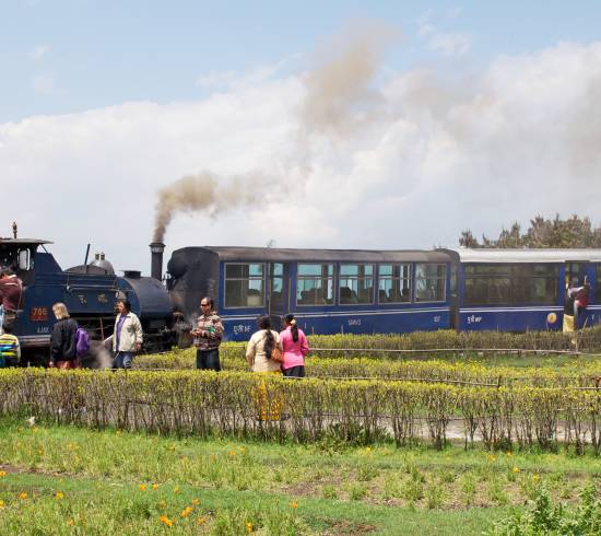 Toy Train Indien 