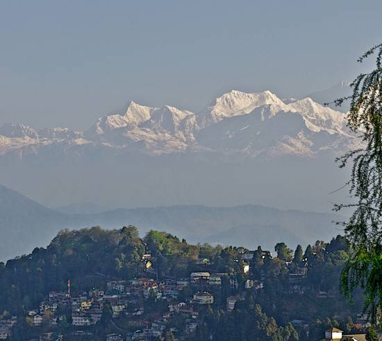 Darjeeling-rejse