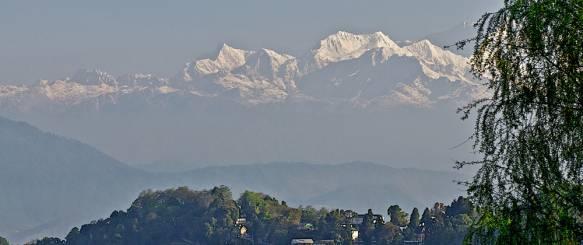 Darjeeling-rejse