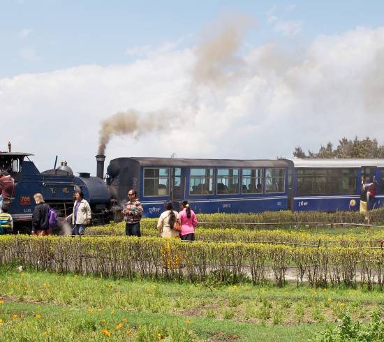 Toy Train Darjeeling