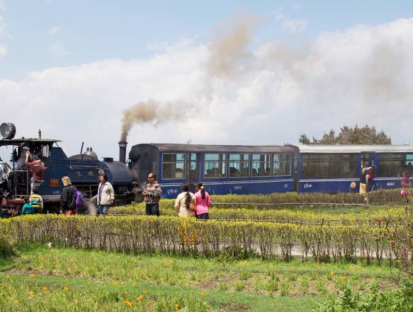 Toy Train Darjeeling