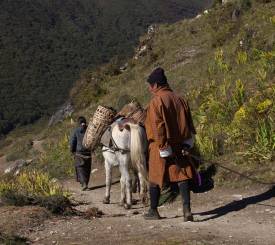 Bhutaner med hest på stien i Bhutan