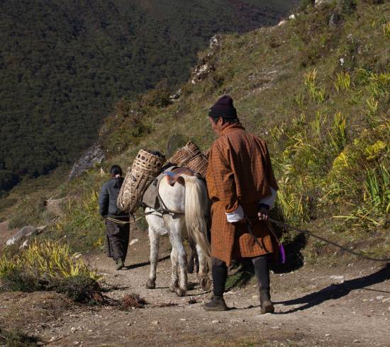 Jimilangtso 3.880 meter Drukpath