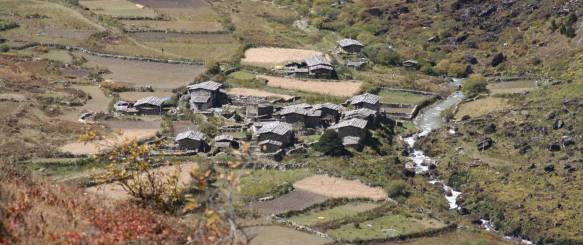 Druk Path Trekket starter