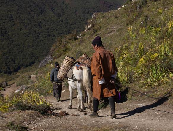 Jimilangtso 3.880 meter Drukpath
