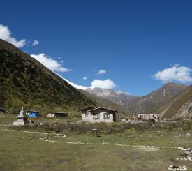 Sinche La passet 5.000 meter 