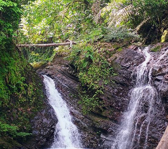 Nanga Sumpa og Batang Ai