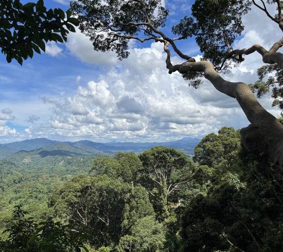 Poring Hot Spring og Mt Kinabalu 