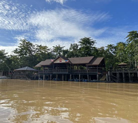 Sepilok Orangutanger, Kinabatangan