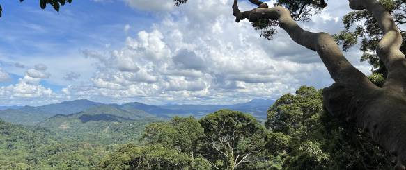 Poring Hot Spring og Mt Kinabalu 