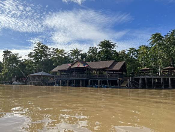Sepilok Orangutanger, Kinabatangan