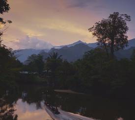 Mulu National park Borneo