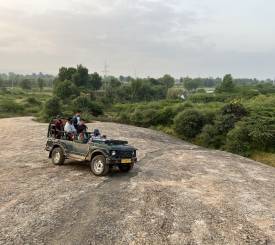 Jawai leoparder Rajasthan