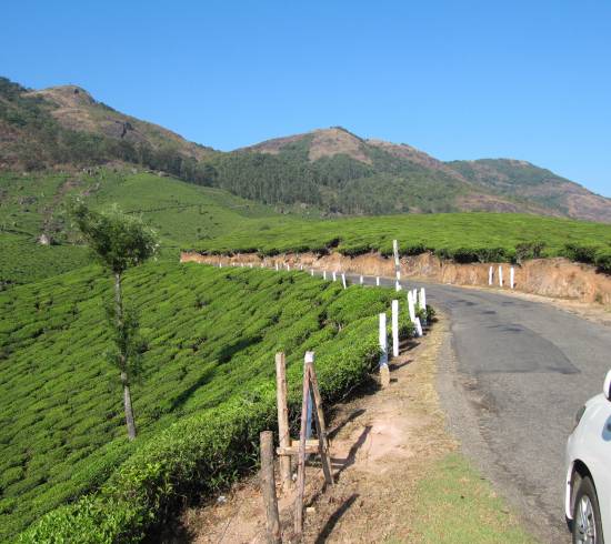Munnar-Periyar Western Ghats