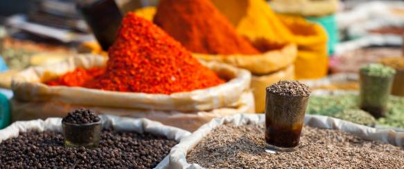 Kochi - Cochin keralarejse