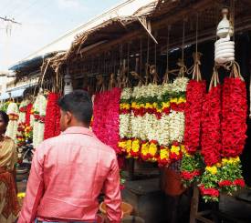 Pondicherry og Auroville