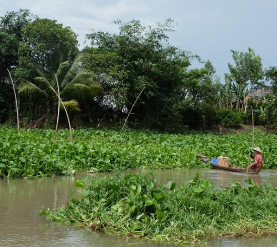 Mekong-deltaet på privat cruise og Chau Doc