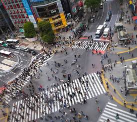 Shibuya crossing