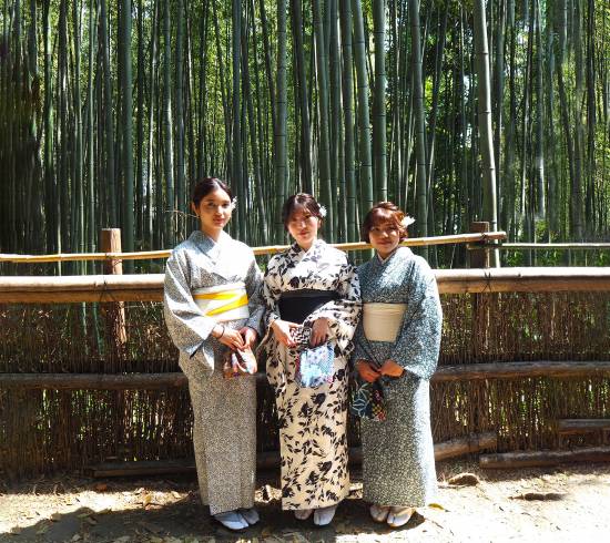 Arashiyama bambusskov