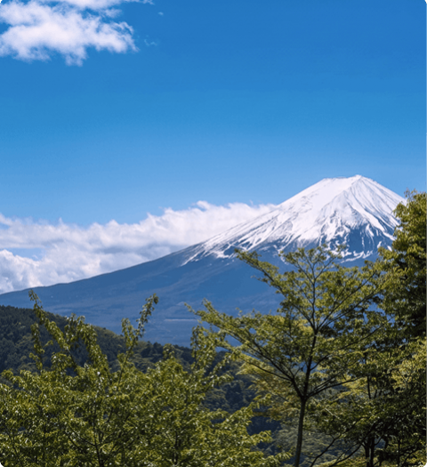 Mount Fuji