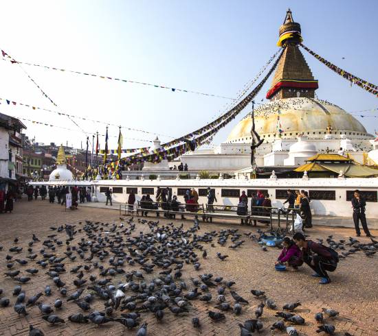 Boudhanath templet i Kathmandu