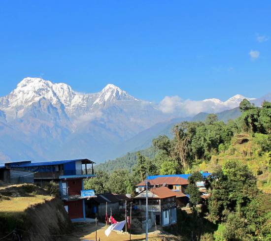 Forest Camp, Nepal