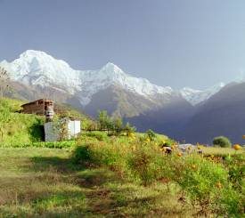Annapurna basecamp