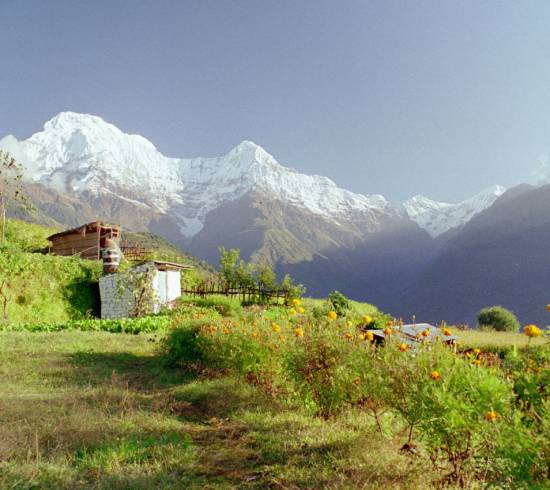 Annapurna basecamp