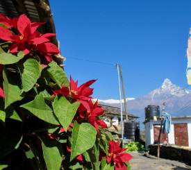 Annapurna base camp højdekurver