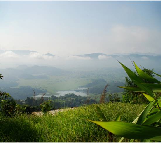 Lakeside Retreat Pokhara