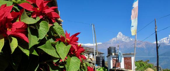 Mod Deurali, Mardi Himal trek, Nepal