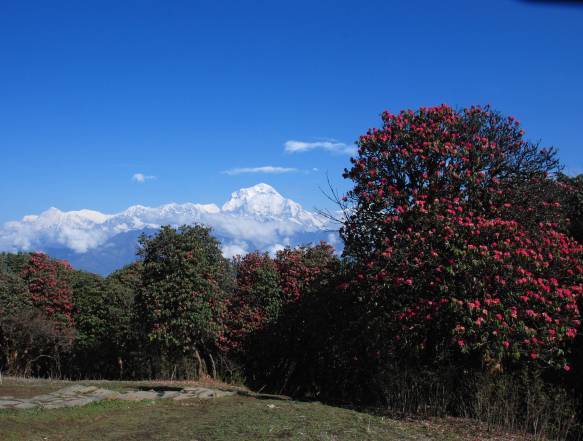 Ghorepani-Nepal