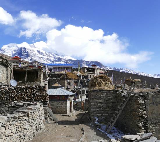 Nar og tibetansk kultur i Narphu