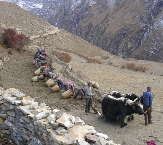 Akklimatisering i Na