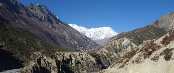 Nepaltrekking