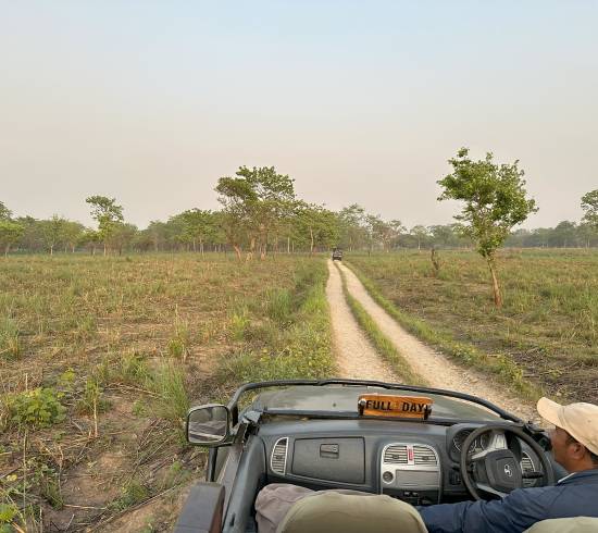 Safari i Chitwan