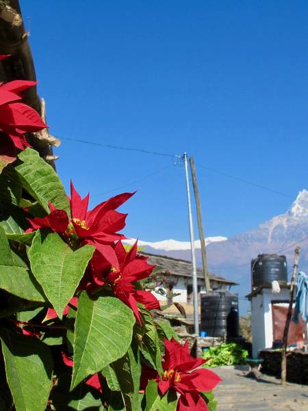 Mardi Himal og Chitwan - fototrek i Nepal
