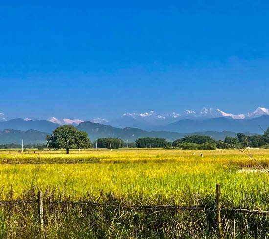 Kørsel fra lavlandet til Himalaya