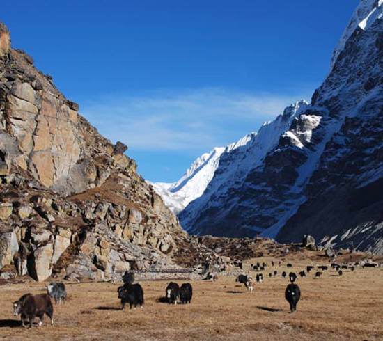 Kanchenjunga-trek