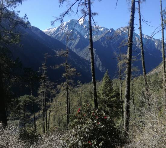 Kanchenjunga Conservation Area