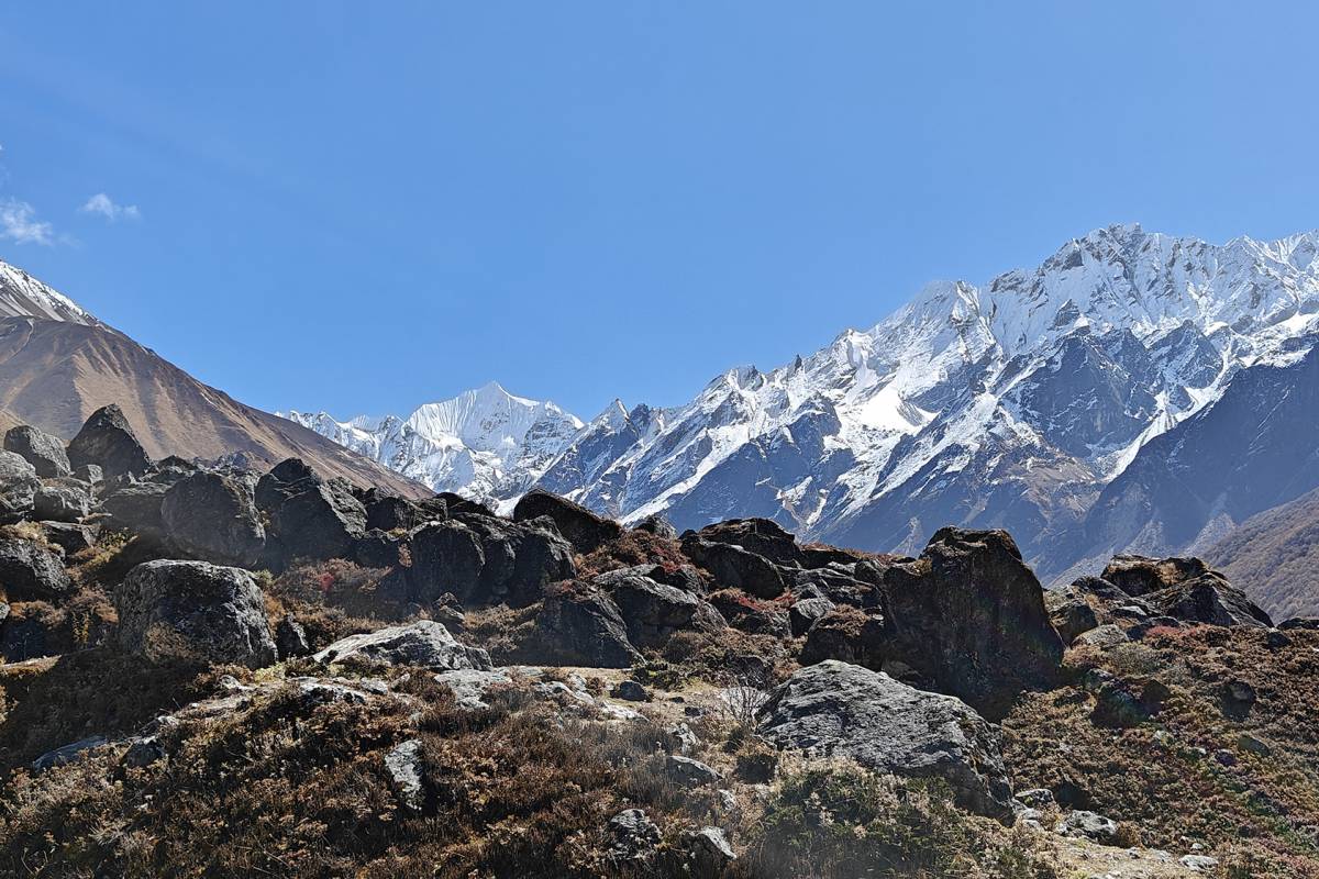 Tusind tak for en vidunderlig tur