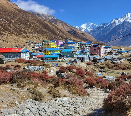Kyanjin Langtang